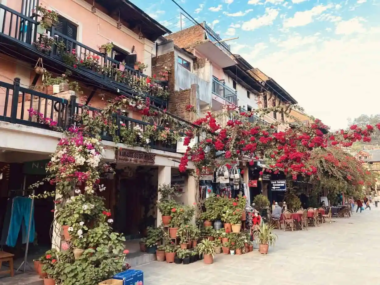 1581507536_bandipur 1.jpeg